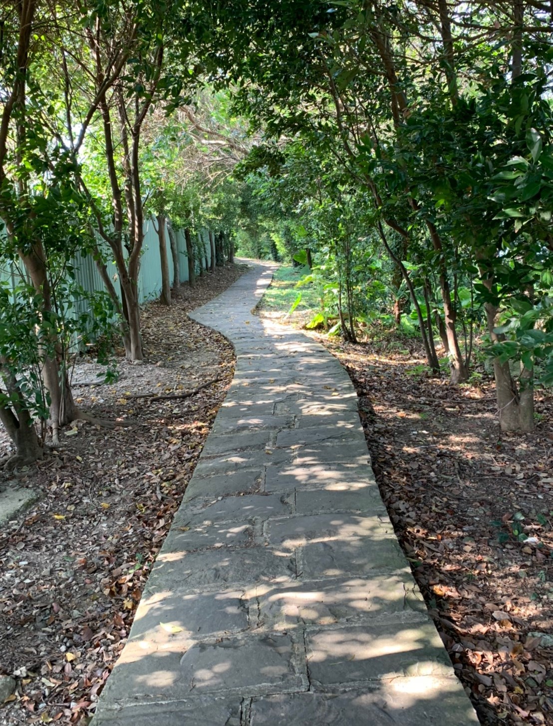 太平濱海步道-入口處步道